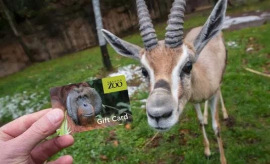 Oregon Zoo warns of stolen credit card info